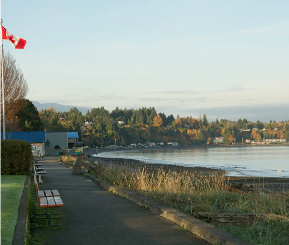 Coastal pathway with benches and distant trees.