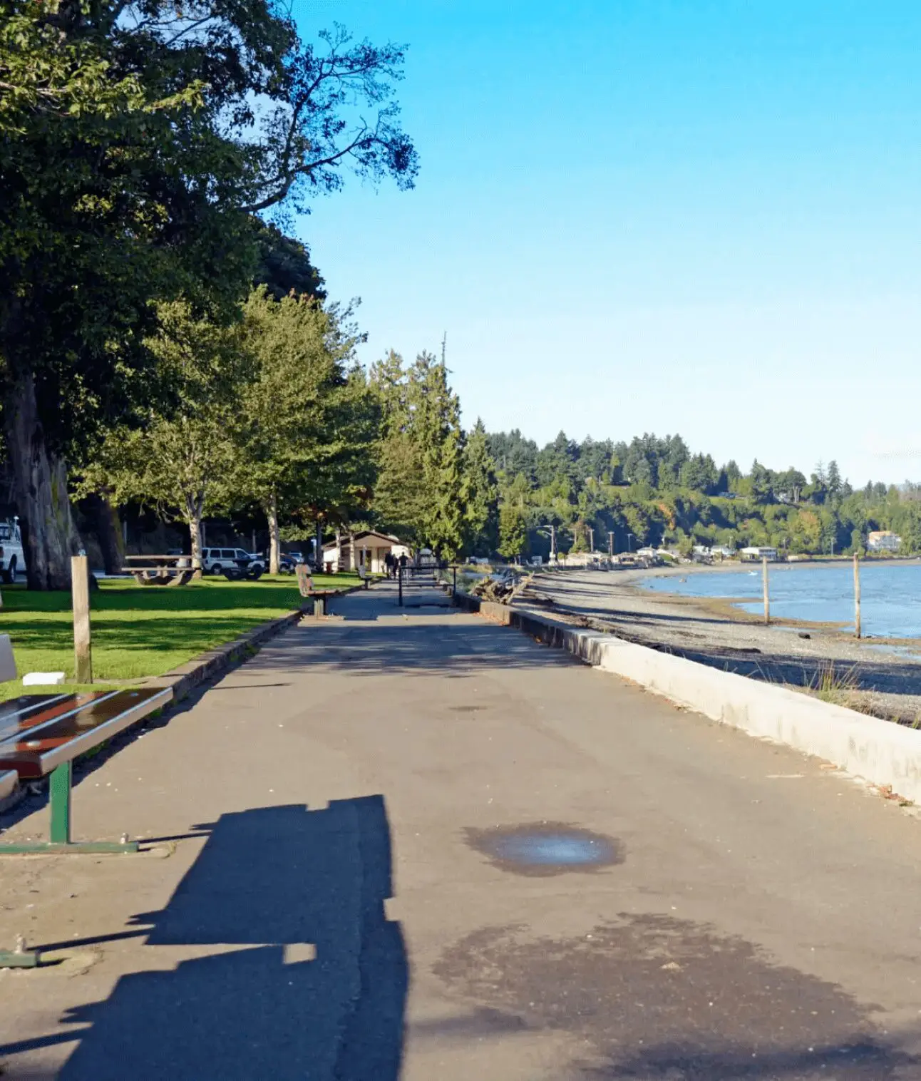 Park pathway beside a serene lakeside view.