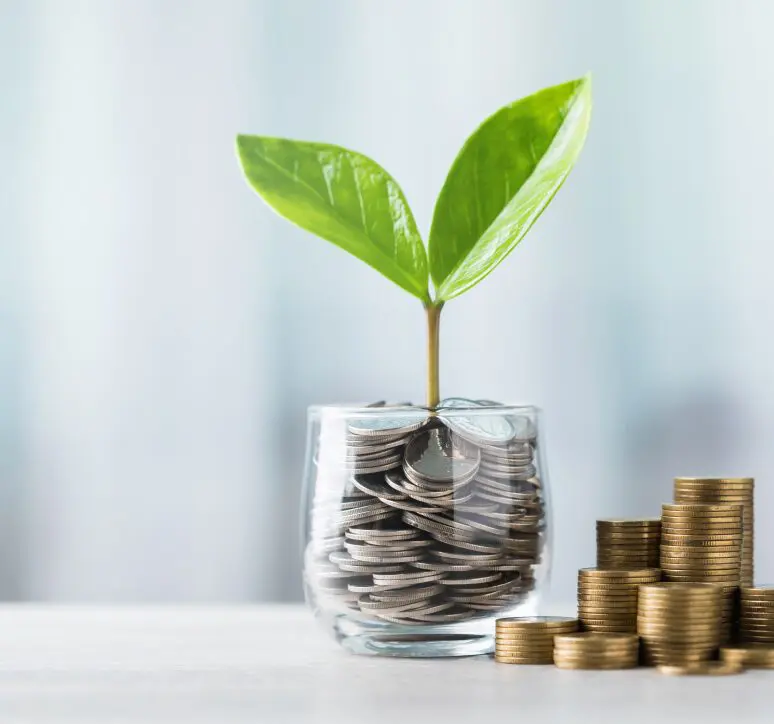 Plant growing from coins in glass jar.