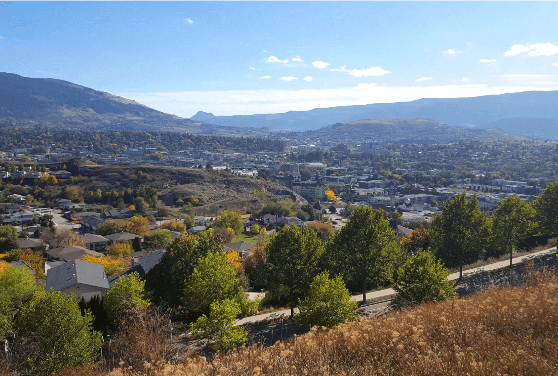Cityscape with mountains and trees in foreground.